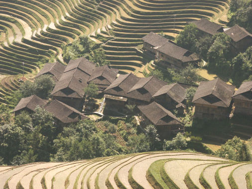 Terrassenfelder bei Longji in der Provinz Guangxi