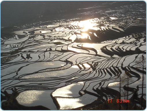 Reisterrassen von Yuanyang